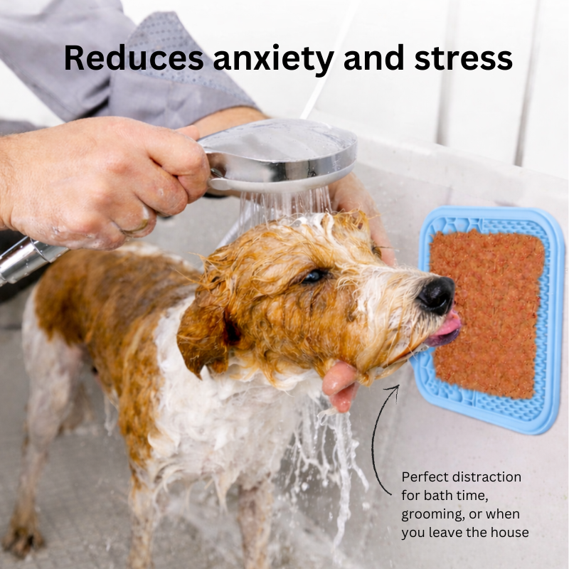 PetNexus™ Lick Mat - 2 options
